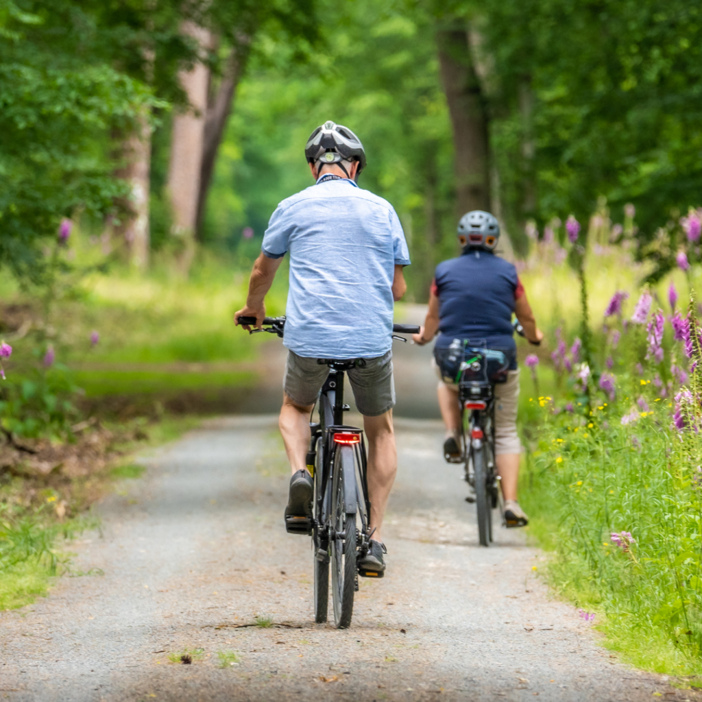 Paved bike riding discount trails near me